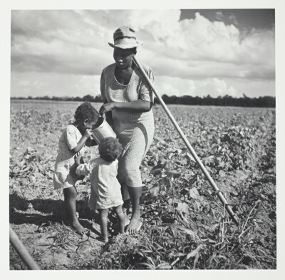 Taking a rest from hoeing cotton, on the Allen Plantation, Natchitoches, Louisiana; An FSA Co-op
