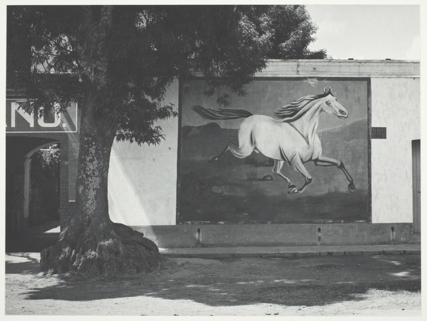 Landscape and Gallop (Paisaje y galope)