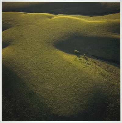Konza Prairie, Riley County, Kansas, from the series “Prairie: Images of Ground and Sky” (1978-85)