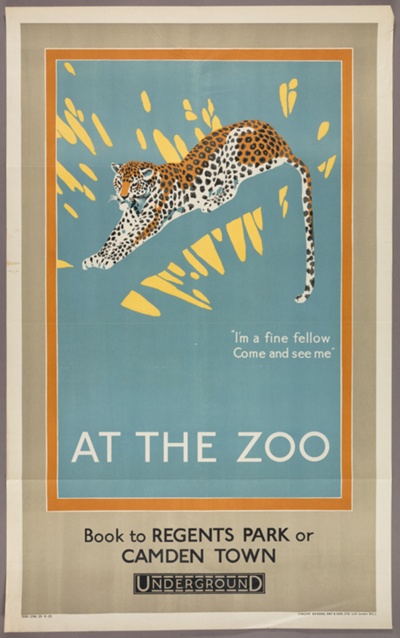 At the Zoo: Leopard
