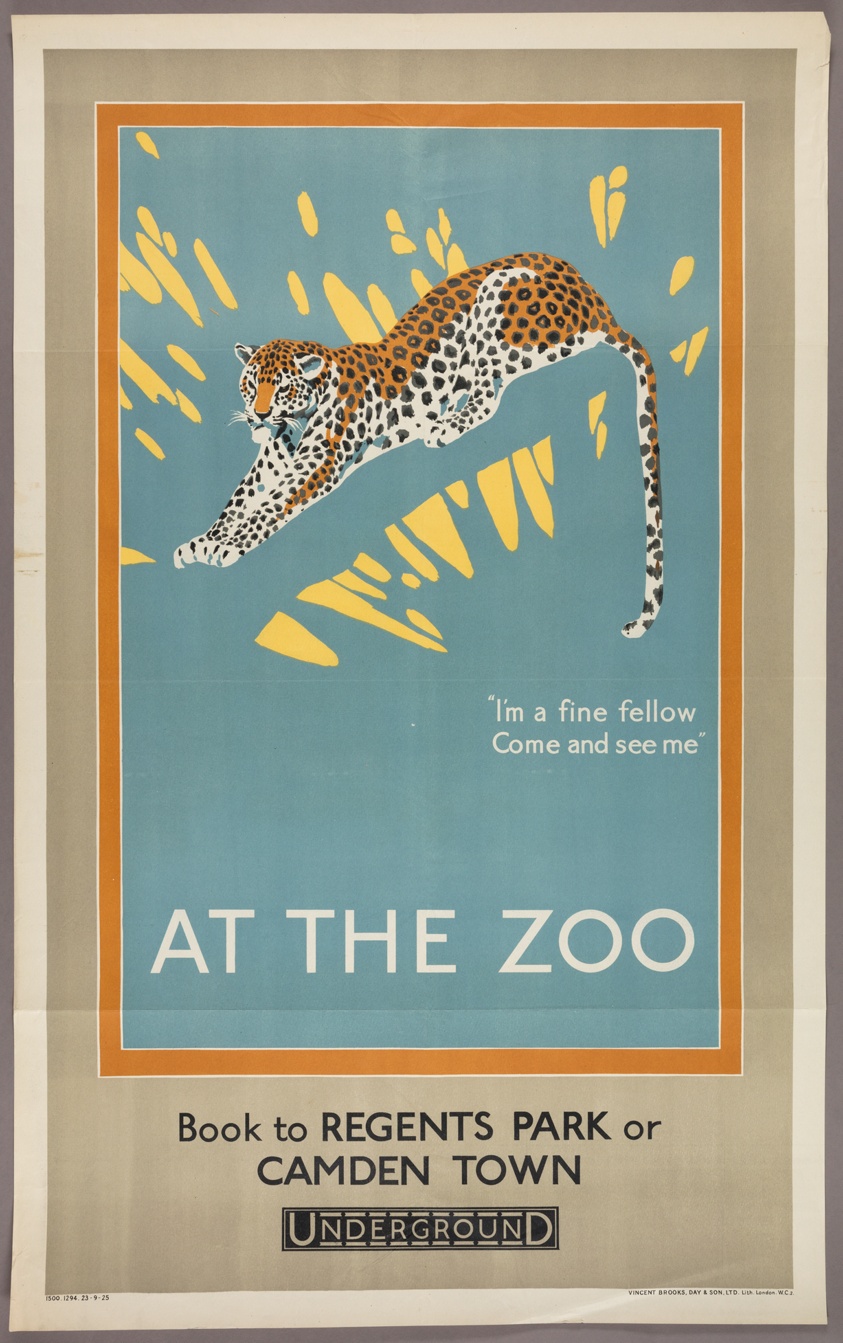 At the Zoo: Leopard