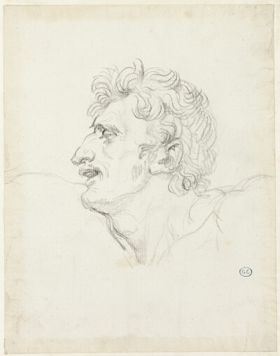 Head of a Man, Left Profile