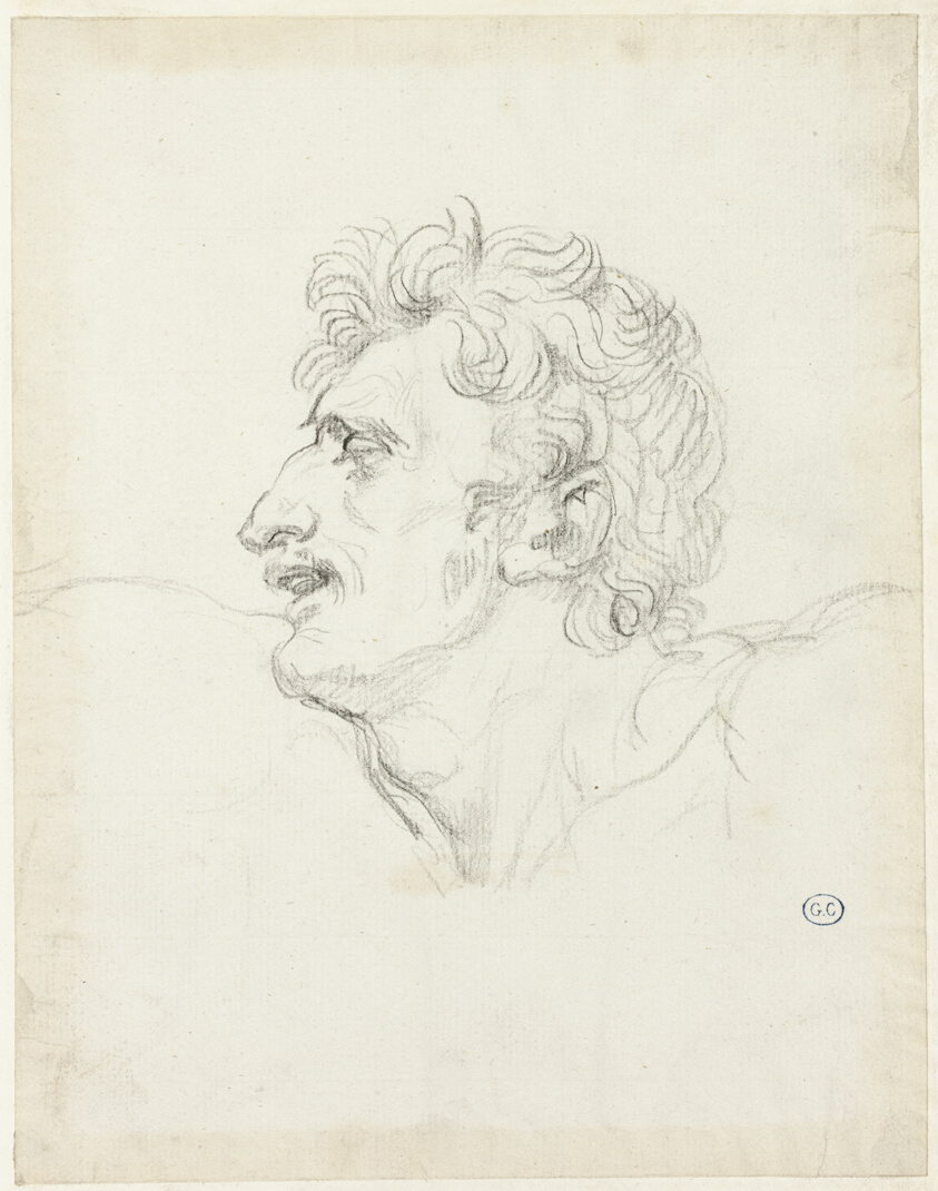 Head of a Man, Left Profile