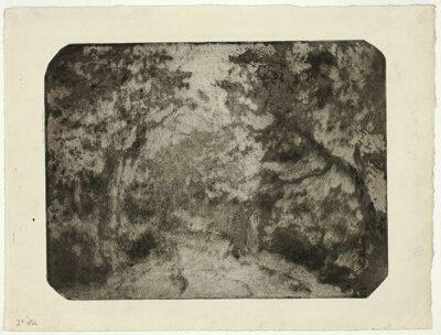 Wooded Lane at Pontoise