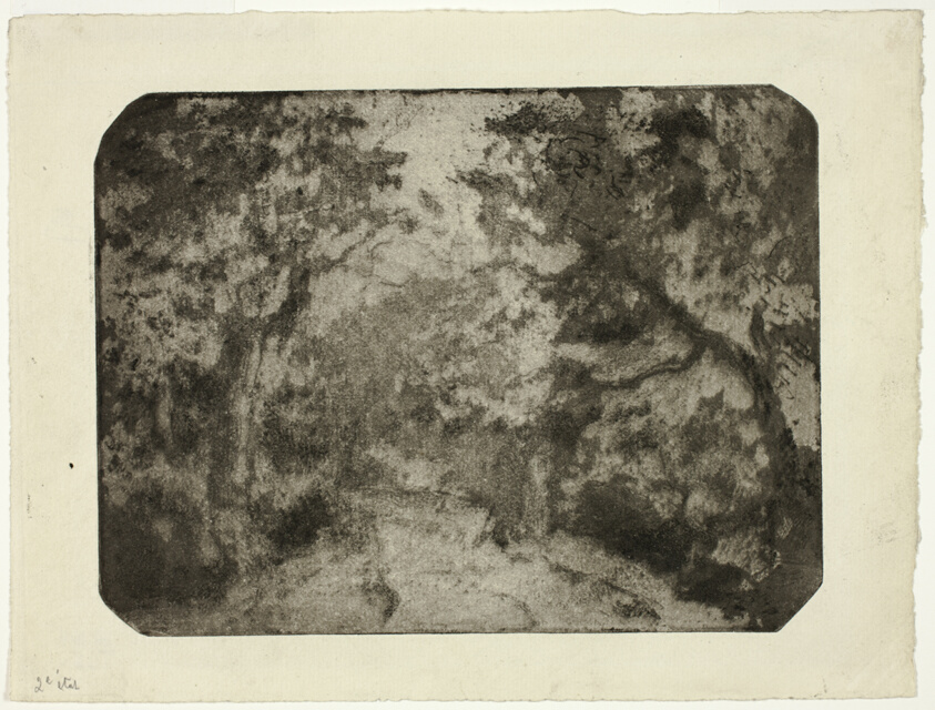 Wooded Lane at Pontoise