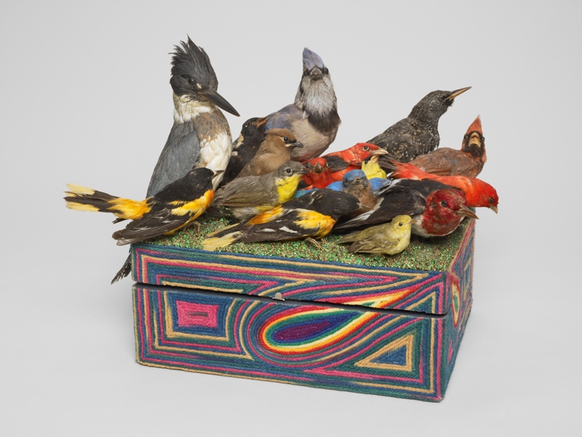 Box #53