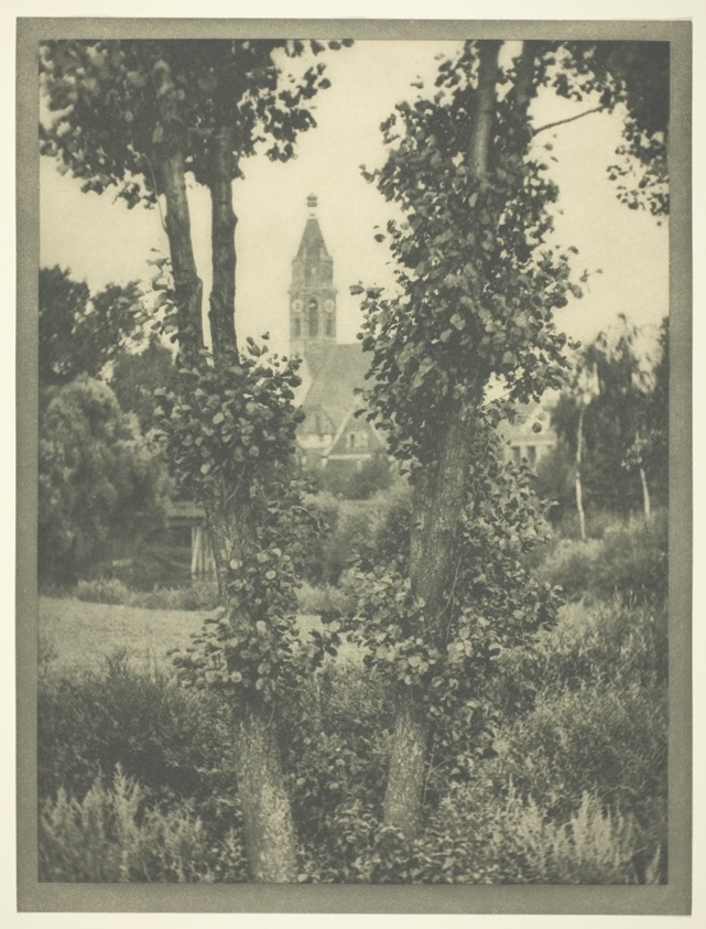 The Two Trees, Rothenberg