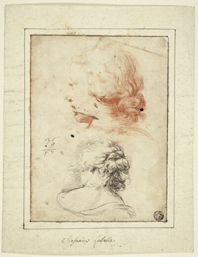 Two Studies: Female Head in Three-Quarter Profile; Female Bust Seen from the Back