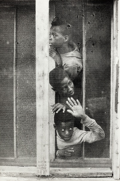 The Screen, from the series "Born Hip"