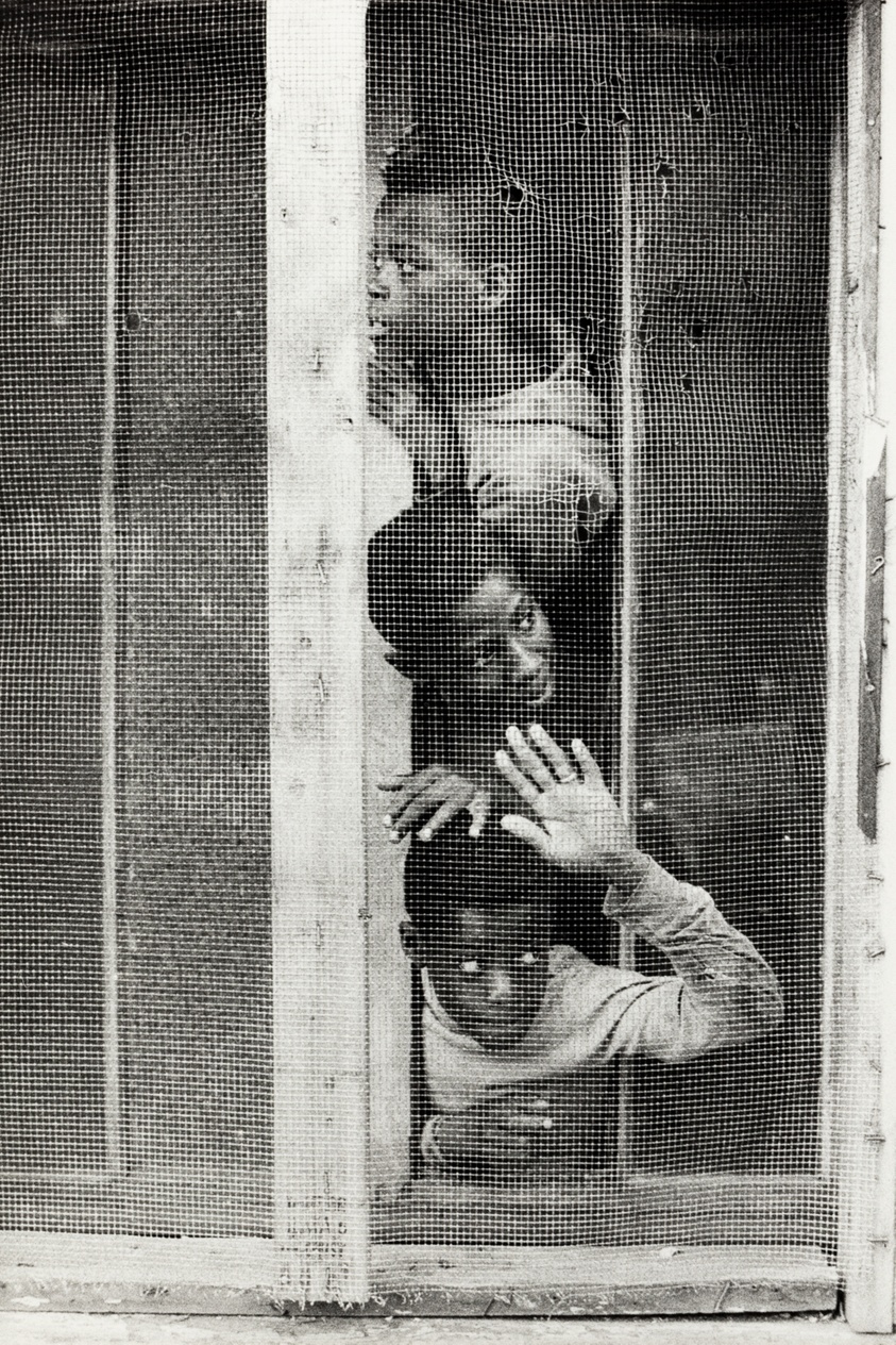 The Screen, from the series "Born Hip"