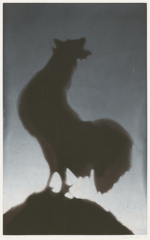 Rooster