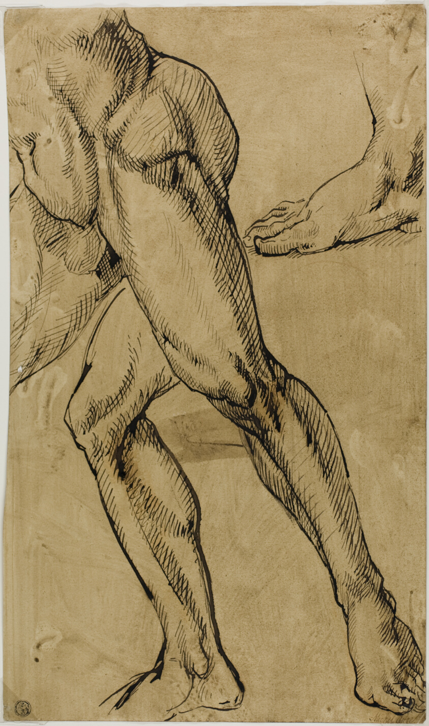 Legs and Feet of Male Nude