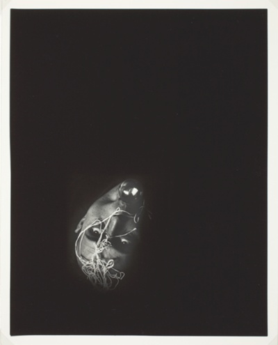 Protoplasmic Self-Portrait
