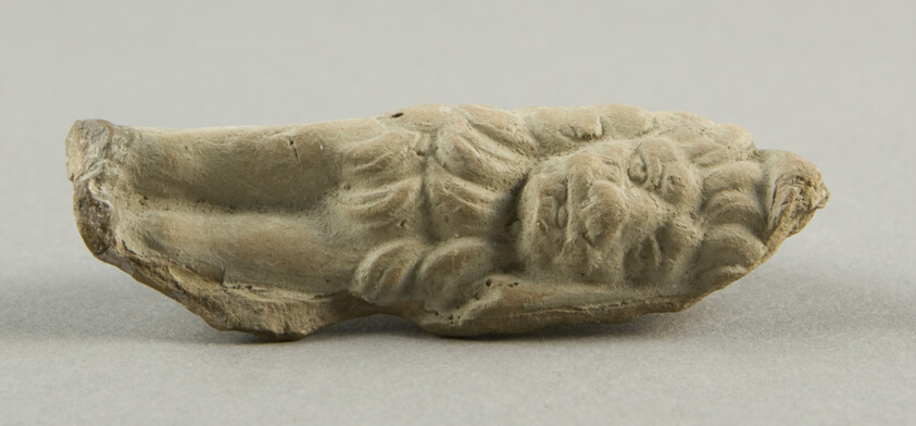 Head and Forelegs of Lion
