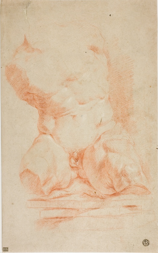 Belvedere Torso