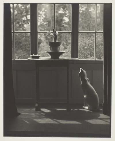 Untitled (Window with Porcelain Cat, Table and Potted Plant)