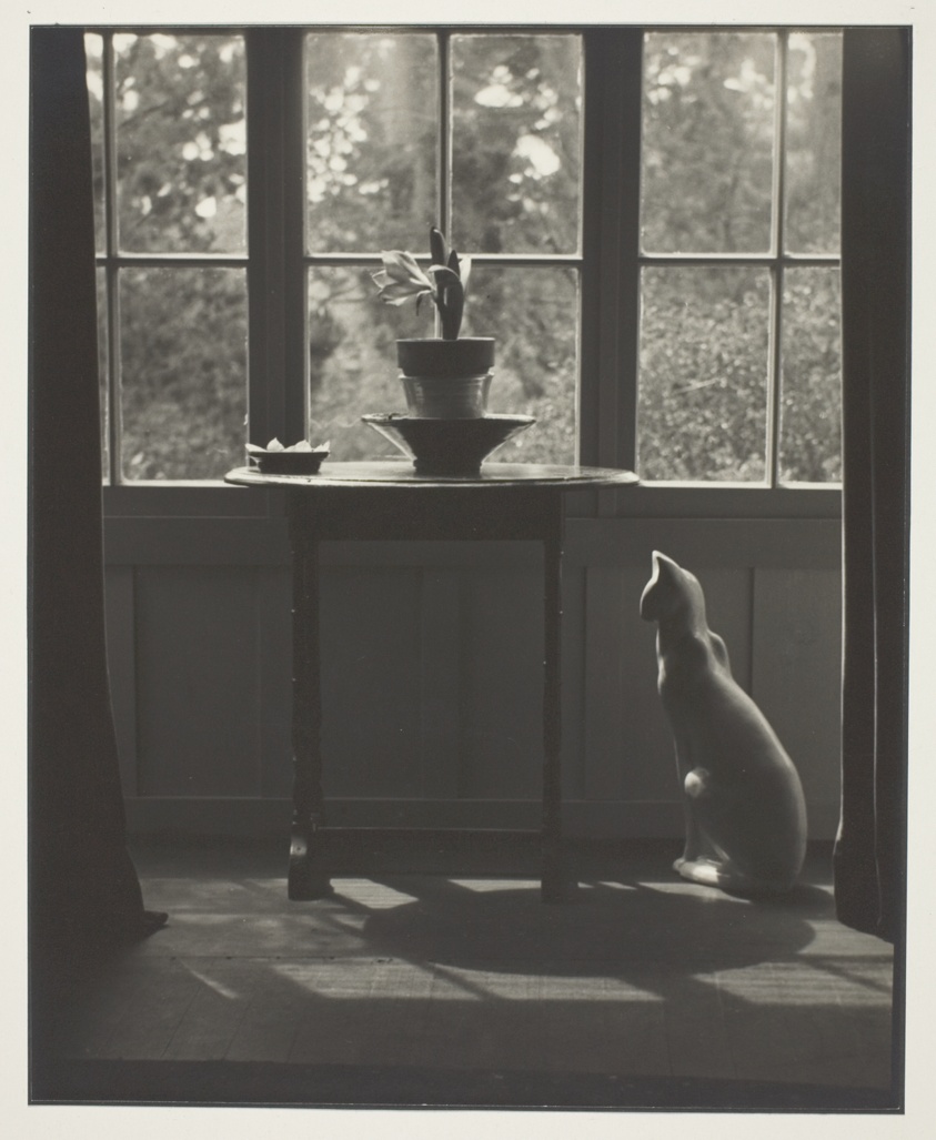 Untitled (Window with Porcelain Cat, Table and Potted Plant)