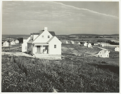 Untitled (Arthurdale Subsistence Homestead Project, Reedsville, West Virginia)