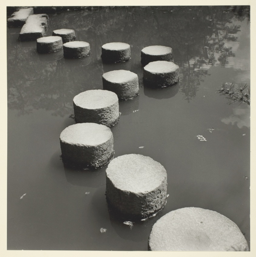 Stepping Stones in Iris Pond-Kyotot
