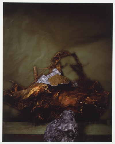 Earth From Severed Roots