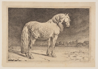 The Frisian Horse, from Series of Horses