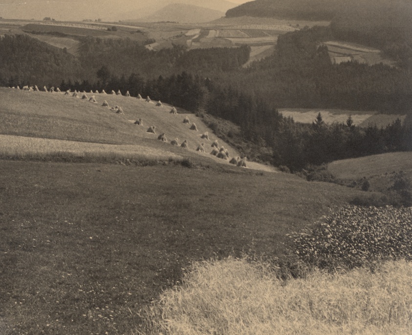 Fields and Forests / Brdy Foothills II (Pole a lesy / Podbrdská krajina II)