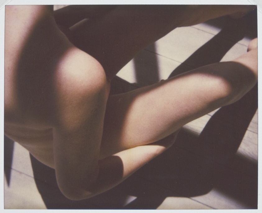 Untitled (PD) 3