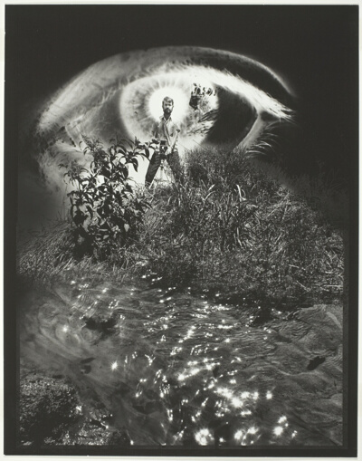 The Photographer's Eye