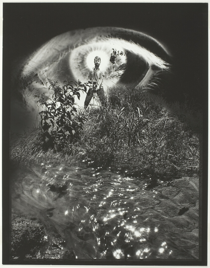 The Photographer's Eye