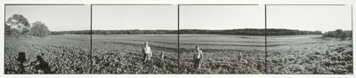 Ron Crump, his sons Kelly and Tony, and his uncle Frank Letcher, Woodford County, #1290 from the series Illinois Farm Families