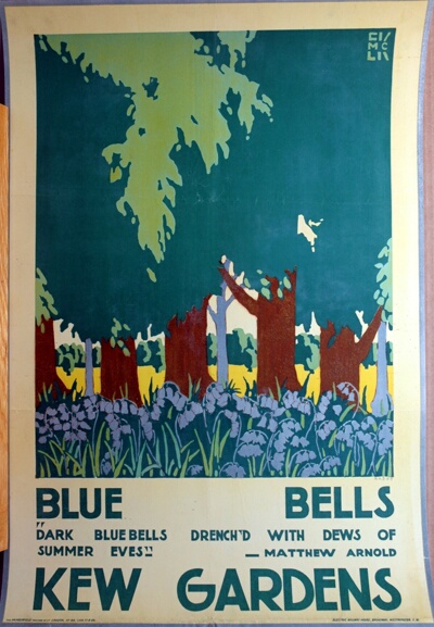 Blue Bells Kew Gardens