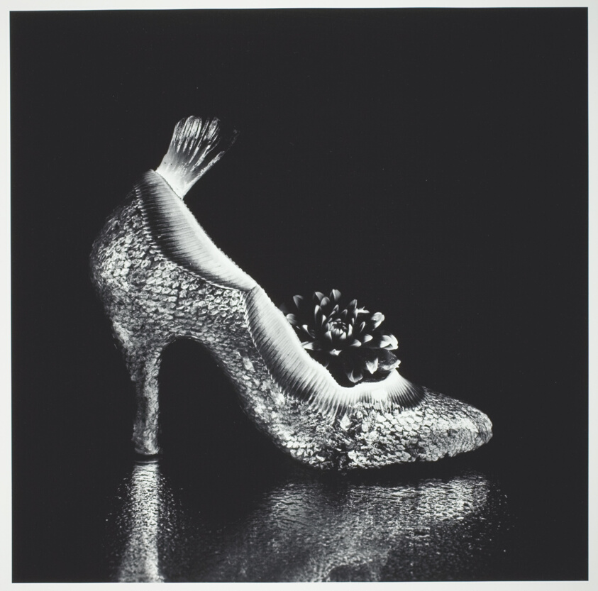 High Heel of Salmon and Flatfish