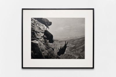 Untitled (Buffalos)