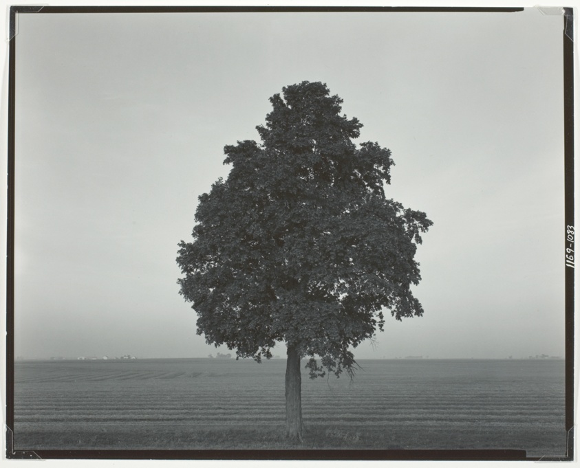 Illinois Landscape