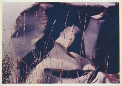 Untitled (Abstraction of Leaves)