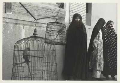 Iran: Shiraz - Three Women With Caged Birds