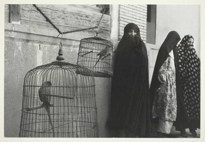 Iran: Shiraz - Three Women With Caged Birds
