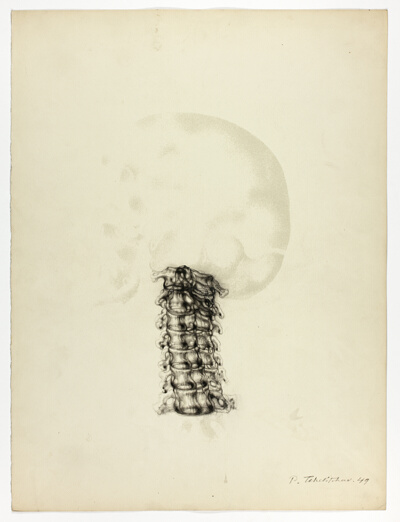 Plate from Interior Landscape
