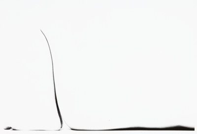 Human Form, from the series "Human Form"