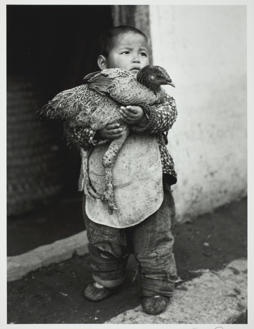 Boy with Chicken, Hungjao, China