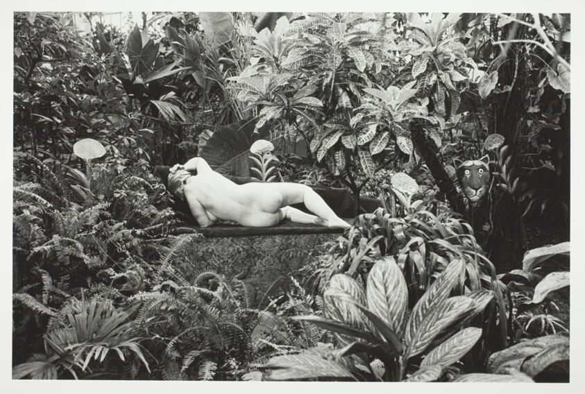 Hommage au Douanier Rousseau, Paris
