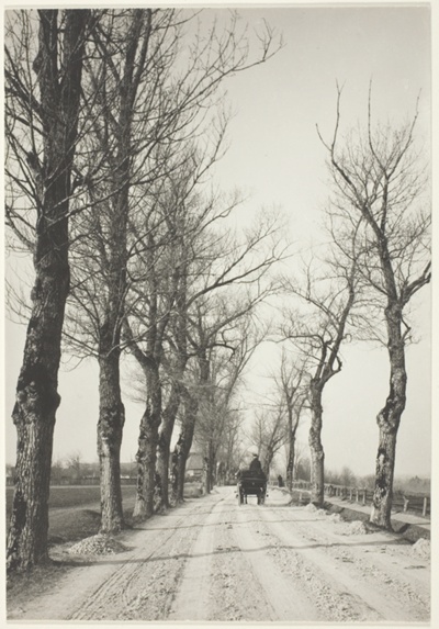 November Days