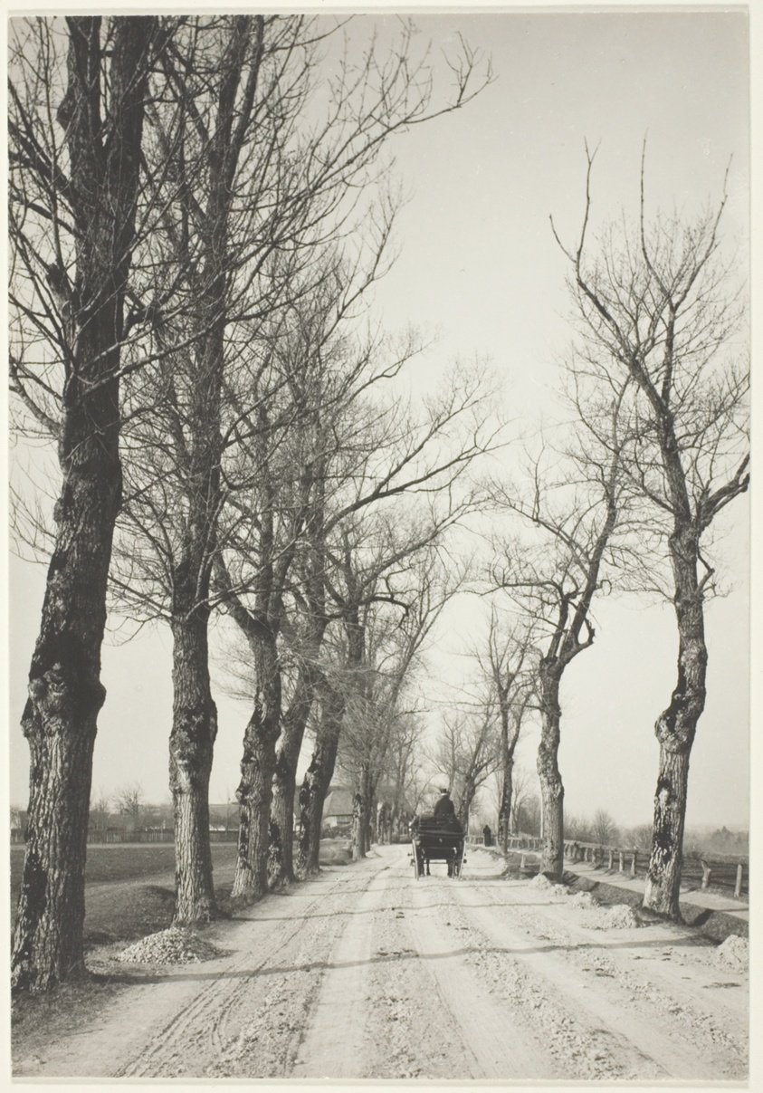 November Days