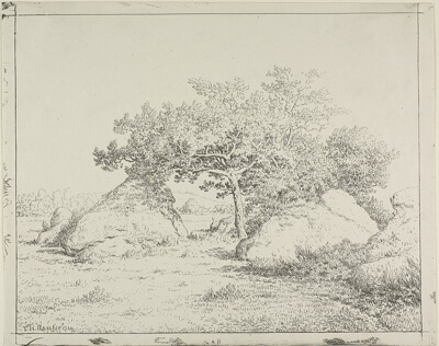 Cherry Tree at Plante à Biau