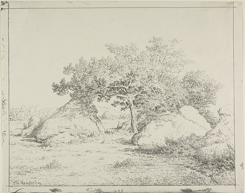 Cherry Tree at Plante à Biau