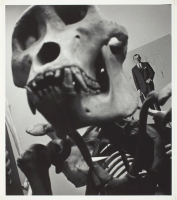 Guerilla and Undersecretary of State