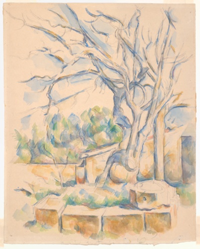 Pistachio Tree at Château Noir