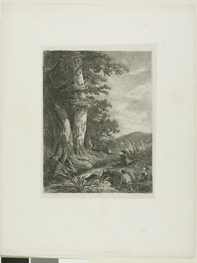 Alpine Landscape